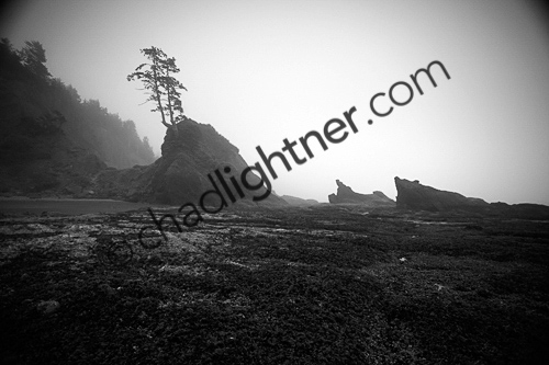 _MG_4497