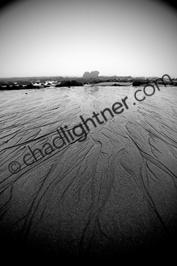 _MG_4502