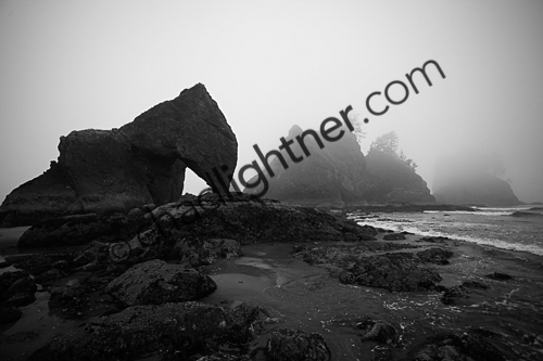 _MG_4515