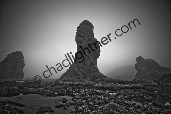 Shi Shi Beach (landscape)