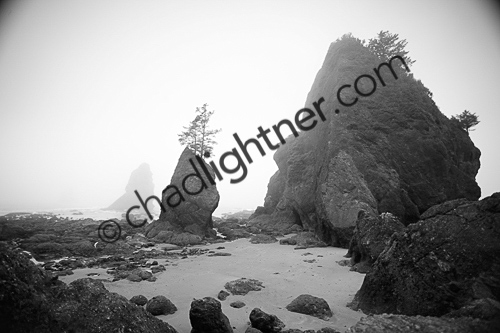 _MG_4522
