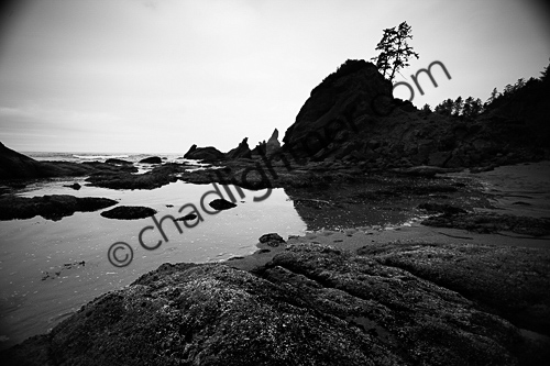 _MG_4549