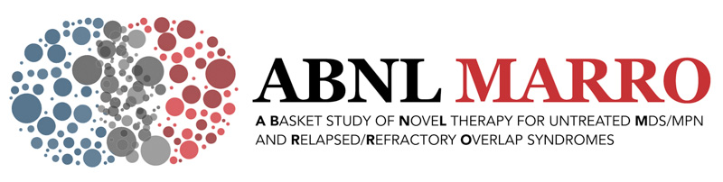logo_abnlmarro1