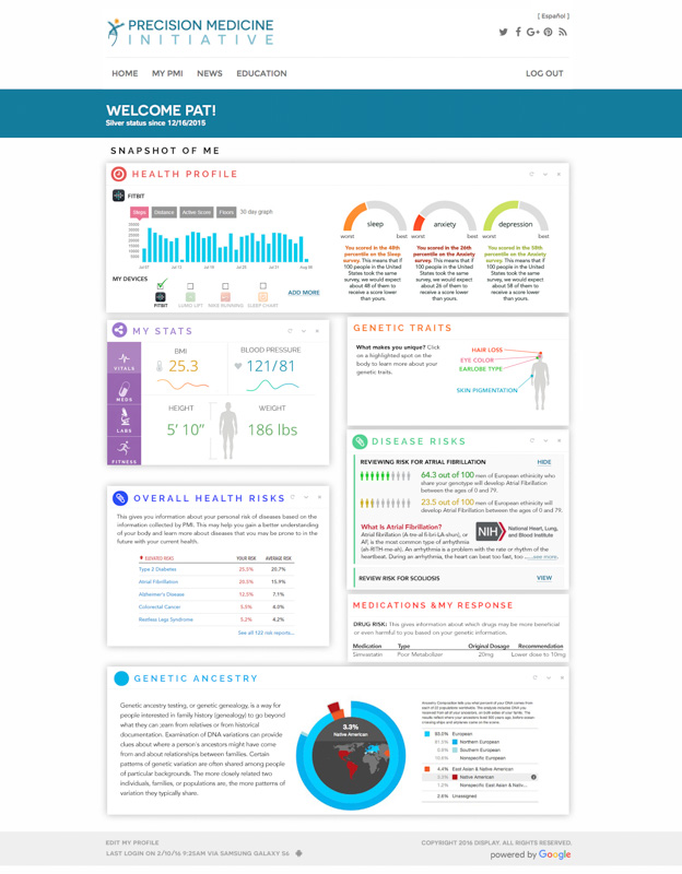 pmi dashboard v2 risks v3